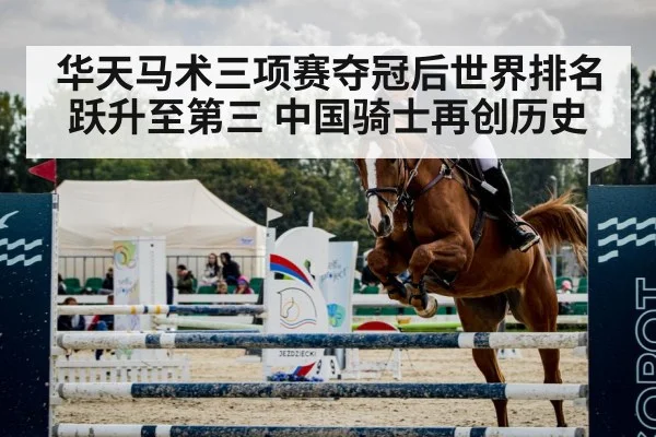 horse jumping arena